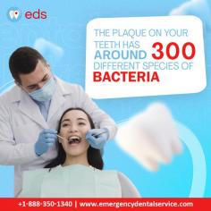300 Species of bacteria | Emergency Dental Service
Say goodbye to pesky plaque and embrace a dazzling smile!  Emergency Dental Service is here to help you tackle those nasty bacteria that cause plaque buildup. Let our experts care for your oral health with cutting-edge techniques and gentle care. Schedule an appointment at 1-888-350-1340.
