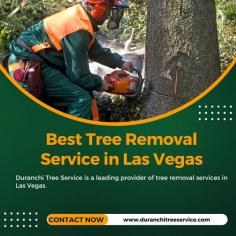 Duranchi Tree Service is a leading provider of tree removal services in Las Vegas. We have a team of experienced and certified arborists who are available 24/7 to help you keep your trees healthy and looking their best.

Contact Now: https://www.duranchitreeservice.com/