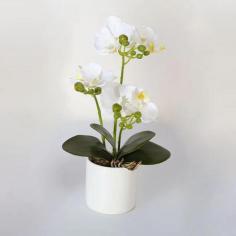 Many Large Phalaenopsis
https://www.artificial-pant-factory.com/product/artificial-phalaenopsis-orchid-in-pot/large-artificial-phalaenopsis-orchid-in-pot/