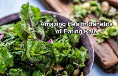 Kale contains fiber, antioxidants, calcium, vitamins C, etc., and a wide range of other nutrients that can help prevent various health problems. Visit Livlong for more information on kale juice benefits.