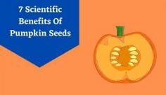 Learn about the 7 benefits of pumpkin seeds for men & women. Which are rich in antioxidants, vitamins, etc. Know more about the benefits of pumpkin seeds at Livlong.
