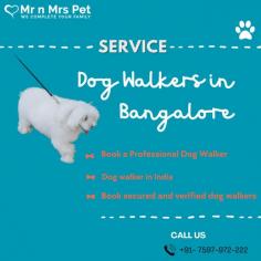 Are you looking for an expert dog walking service near you in Bangalore? Mr. N Mrs. Pet has dog trainers with over 10 years of experience providing reliable and loving care to your beloved companion. For expert dog walking services visit our website and book your trainer.
visit site : https://www.mrnmrspet.com/dog-walking-in-bangalore
