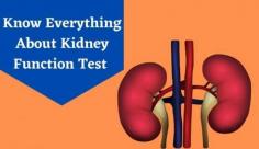Explore the different methods of testing kidney function with our guide on kidney profile tests. Read more about KFT test at Livlong today!