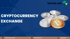 Blockchain development has gained immense popularity over the past decade, transcending its initial association with cryptocurrencies. Recognizing the transformative potential of blockchain, Nadcab Labs has dedicated its efforts to harnessing its power and exploring its applications across various industries. Their research is unlocking new possibilities in areas such as finance, supply chain management, healthcare, cybersecurity.
