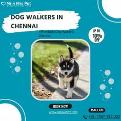 Are you looking for an expert dog walking service near you in Chennai? Mr. N Mrs. Pet has dog trainers with over 10 years of experience providing reliable and loving care to your beloved companion. For expert dog walking services visit our website and book your trainer.
Visit Site : https://www.mrnmrspet.com/dog-walking-in-chennai
