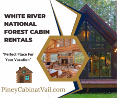 Book The Perfect Cabins For Vacation

Enjoy the scenic camping, fun activities, and sights and sounds of White River National Forest. Ready to plan your adventure? Check out these incredible accommodations to send an email at windswestinc@gmail.com.
