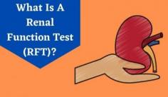 Explore details on RFT blood test which is conducted to check your kidney functioning. Know more about the meaning, full form & procedure of RFT test at Livlong.