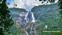 Dudhsagar Waterfall: A breathtaking cascade of milky waters amidst lush greenery in Goa, A must-visit for nature enthusiasts! 