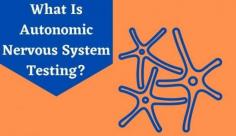 Explore the guide on autonomic nervous system examination to understand your emotional and physical responses to different stimuli. Learn more about ANS testing at Livlong.