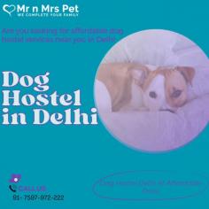Are you looking for affordable dog boarding services near you in Delhi? Mr N Mrs Pet specializes in dog boarding services and provides professional pet hostel in Delhi. For dog boarding services visit our website and book your hostel.
visit site : https://www.mrnmrspet.com/dog-hostel-in-delhi
