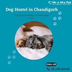 Are you looking for affordable dog boarding services near you in Chandigarh? Mr N Mrs Pet specializes in dog boarding services and provides professional pet hostel in Chandigarh. For dog boarding services visit our website and book your hostel.
Visit Site : https://www.mrnmrspet.com/dog-hostel-in-chandigarh
