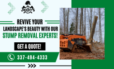 Remove Unsightly Stumps from Your Landscape Today!

Effortlessly reclaim your outdoor space by approaching stump removal in Lake Charles. Jerry’s Tree Service well-versed technicians utilize top-notch equipment to safely and efficiently remove stubborn stumps, allowing you to create a smooth and aesthetically pleasing landscape. Don't let unsightly stumps hold you back—believe in us to restore the beauty of your property.

