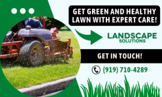 Get Advanced Lawn Maintenance Services Today!

Keep your garden looking immaculate with the trusted lawn maintenance company in Raleigh. Our super-skilled crew of professionals provides tailored, reliable services to keep your yard lush and green. From mowing and edging to fertilization and weed control, we've got your lawn care needs covered. Experience the difference of a perfectly manicured yard. Get in touch with Landscape Solutions!
