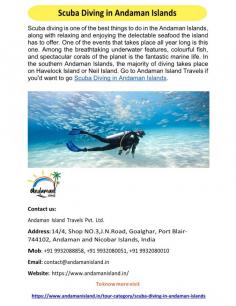 Scuba Diving in Andaman Islands 
One of the best activities in the Andaman Islands is scuba diving, combined with lounging and savouring the delicious seafood the island has to offer. This is one of the annual events that happens. The amazing marine life of the world is among its majestic corals, vibrant fish, and striking underwater features. Most diving in the southern Andaman Islands is done around Havelock Island or Neil Island. If you would want to go Scuba Diving in Andaman Islands, contact Andaman Island Travels.
For more details visit us at: https://www.andamanisland.in/tour-category/scuba-diving-in-andaman-islands 