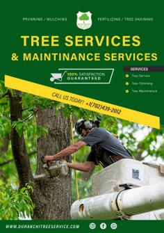 Tree Service Las Vegas

Duranchi Tree Service offers expert and efficient tree service las vegas. Our professional team ensures safe removals, maintaining your home's landscape.