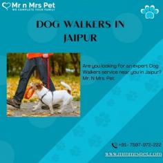 Are you looking for an expert dog walking service near you in Jaipur? Mr. N Mrs. Pet has dog trainers with over 10 years of experience providing reliable and loving care to your beloved companion. For expert dog walking services visit our website and book your trainer.
Visit Site : https://www.mrnmrspet.com/dog-walking-in-jaipur
