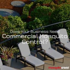To reclaim your peace of mind, contact a reputable commercial mosquito control near me immediately.
