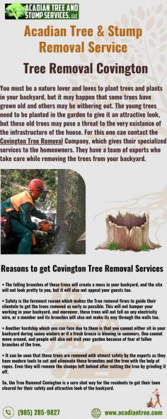 Tree removal is only sometimes the only solution. In many cases, pruning or trimming can address issues such as overgrown branches, diseased parts, or unwanted growth. Our Acadian Tree and Stump Removal Service is skilled in pruning techniques that promote tree health, improve aesthetics, and ensure safety. We will carefully assess your tree's condition and provide expert advice on the appropriate pruning or trimming required. Call us at (985) 285-9827 for additional information about Picayune Tree Removal. 

Website: https://acadiantree.com/tree-removal/picayune/