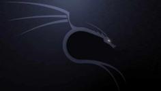 Secure your network with Lufsec.com Kali Linux Network Setup - the perfect tool for anyone looking for an easy-to-use, reliable and secure network setup. Get the peace of mind you deserve today!