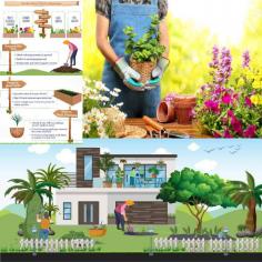 Gardens Nursery Advice is the site that brings you a wealth of information about landscaping your garden, with handy hints and top garden tips. Please visit here https://gardensnursery.com/ for more details.#gardens_nursery #gardening_nursery #night_gardening #types_of_mushrooms #garden_hose