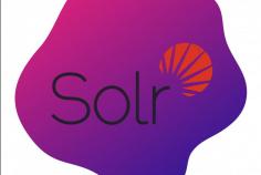 Nexbrick, Inc. offers expert Solr support services tailored to your search and indexing needs. Our dedicated team ensures your Solr deployment runs smoothly, optimizing performance, scalability, and reliability. Whether you require troubleshooting, maintenance, or customized solutions, we provide comprehensive support to maximize the value of Apache Solr for your organization. Trust Nexbrick for unparalleled Solr expertise and a seamless search experience.