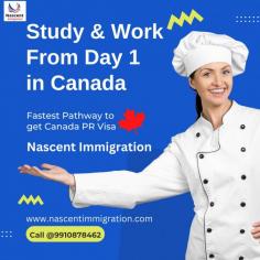 Nascent Immigration is a Team of Professionals who kept your personal and professional needs into consideration before recommending a visa for you. They are there to study your profile thoroughly and counsel you as per your future aspirations. Those Students who are planning to study abroad we assure that once you meet our consulting professionals all your doubts and queries will be answered and you’ll just want to be proactive enough to complete the process at the earliest.