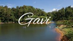 Gavi, Kerala: is a pristine eco-tourism destination nestled in the Western Ghats, offering lush forests, wildlife, and serene landscapes. 