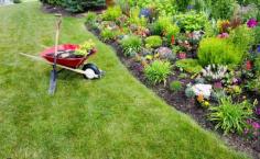 A regular lawn care routine and maintenance schedule is important for several reasons. First, it helps to keep your lawn and plants healthy. This includes preventing the spread of diseases and pests and ensuring that your plants get the nutrients they need. Second, a regular lawn care routine can help improve your yard’s appearance. This can increase your curb appeal and make your home more enjoyable to live in. 