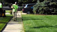 We understand the value of caring for your lawn and open spaces all year round. The grass will get tired, dried out, and infested with weeds quickly if not properly cared for. It just requires a prolonged period of warm weather combined with some rainfall and grass that will quickly look rugged and out of balance. Our highly skilled operators at CGL are trained to use the best mowers on the market for your lawn mowing, trimming, and edging. Along with modern grass maintenance equipment and technology, we use battery-operated machinery. We do not scale any work too big or too small. Trimmers and hand tools accomplish the finishing details after our grass cutting service Phoenix services. For larger grass fields like country parks, airfields, and paddocks, a flexible mowing approach is offered by tractors equipped with high capacity mowing decks. This means that our teams can keep your property looking nice, whether big or small, level, angled, lined with trees and shrubbery, or packed with features such as water fountains, monuments, and sculptures.