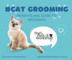 Cat grooming Singapore transcends mere aesthetics, becoming a holistic practice that contributes to the overall well-being of our feline companions. Here’s a comprehensive guide to the benefits and art of cat grooming.

Benefits of Cat Grooming:

1. Health Monitoring: Grooming provides an opportunity to closely inspect your cat’s skin, ears, eyes, and teeth. Early detection of issues leads to prompt veterinary care.

2. Reduced Shedding: Regular brushing minimizes shedding by removing loose fur. This is especially crucial for long-haired breeds prone to matting.

3. Preventing Hairballs: Grooming reduces hair ingestion, preventing hairballs and potential digestive issues.

4. Skin and Coat Health: Brushing stimulates blood flow, promoting a healthier skin and a shinier coat. It also helps distribute natural oils for added luster.

5. Bonding Time: Grooming sessions foster a stronger bond between cat and owner. The gentle touch and attention contribute to a positive relationship.

Guide to Cat Grooming:

1. Brushing: Use a cat-specific brush to remove loose fur. Long-haired cats may require more frequent brushing to prevent matting.

2. Bathing: While cats are generally fastidious groomers, an occasional bath may be necessary. Use cat-friendly shampoos and introduce bathing gradually.

3. Nail Trimming: Regular nail trims prevent overgrowth and potential injury. Use cat nail clippers and offer treats for positive reinforcement.

4. Ear Cleaning: Check and clean your cat’s ears regularly. Use vet-approved solutions and avoid inserting anything deep into the ear canal.

5. Professional Grooming: Consider professional cat grooming services in Singapore, especially for intricate grooming needs like lion cuts or mats.

Cat grooming in Singapore is not just a routine; it’s a commitment to the health and happiness of our feline friends, ensuring they flaunt radiant coats and thrive in a state of purr-fect well-being.

Our site : https://www.thepetsworkshop.com.sg/