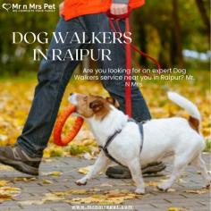 Are you looking for an expert dog walking service near you in Raipur? Mr. N Mrs. Pet has dog trainers with over 10 years of experience providing reliable and loving care to your beloved companion. For expert dog walking services visit our website and book your trainer.
Visit Site : https://www.mrnmrspet.com/dog-walking-in-raipur
