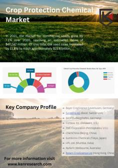 The protected cultivation market is a complex and dynamic market that is constantly evolving. A number of factors are influencing the market, such as technological advancements, consumer trends, and government policies. Market analysis can help businesses understand the market and make informed decisions about their investments and strategies.