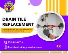 Modern Solutions for Improved Drainage

Our drain tile replacement service specializes in smoothly swapping out outdated, ineffective drain tiles for modern, long-lasting substitutes. Contact us now - 778-961-0824.