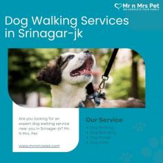 Are you looking for an expert dog walking service near you in Srinagar-jk? Mr. N Mrs. Pet has dog trainers with over 10 years of experience providing reliable and loving care to your beloved companion. For expert dog walking services visit our website and book your trainer.

Visit Site : https://www.mrnmrspet.com/dog-walking-in-srinagar-jk
