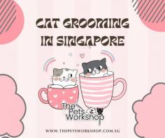 Cat Grooming Singapore is an essential ritual for maintaining a cat’s health and radiance. However, as any cat owner knows, convincing a feline friend to embrace grooming can be a delicate affair. Here’s a guide on how to prepare your cat for a grooming session, turning what might be a challenging experience into a harmonious one.

Steps to Prepare Your Cat for Grooming:

1. Gradual Introduction: Familiarize your cat with grooming tools gradually. Start with gentle touches, offering treats and praise to create positive associations.

2. Frequent Handling: Regularly handle your cat’s paws, ears, and tail outside of grooming sessions. This helps desensitize them to the sensations they’ll experience during grooming.

3. Positive Reinforcement: Reward your cat with treats or affection during and after grooming. Positive reinforcement encourages cooperative behavior.

4.Choose the Right Tools: Invest in quality grooming tools, such as a cat-specific brush and nail clippers. Using the right tools ensures a comfortable grooming experience.

5. Quiet Environment: Choose a quiet and calm space for grooming. Minimize distractions and ensure your cat feels secure and relaxed.

6. Short Sessions: Keep grooming sessions short, especially initially. Gradually extend the time as your cat becomes more comfortable.

7. Professional Grooming Services: Consider professional cat grooming services in Singapore. Experienced groomers can handle the grooming process efficiently, ensuring a stress-free experience for your feline friend.

By incorporating these steps into your cat’s routine, you’ll not only maintain their health and beauty but also strengthen the bond between you and your cherished feline companion.

Website : https://www.thepetsworkshop.com.sg/