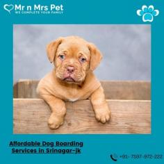 Are you looking for affordable dog boarding services near you in Srinagar-jk? Mr N Mrs Pet specializes in dog boarding services and provides professional pet hostel in Srinagar-jk. For dog boarding services visit our website and book your hostel.
Visit Site : https://www.mrnmrspet.com/dog-hostel-in-srinagar-jk
