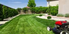 To maximize your home’s curb appeal, keeping clean, lush, green grass can do wonders. CGL Landscaping provides excellent lawn mowing Phoenix residents choose every time for their lawn maintenance program.  Edging should be an integral part of your lawn care routine to produce that manicured look. It is, however, vital that it is done correctly to keep weeds at bay. You don’t want to spoil the esthetic by failing to edge while you spend diligent time planting, mowing, and weeding your lawn. 


https://creativegreenaz.com/mowing-and-edging/

https://creativegreenaz.com/