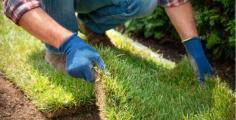 You need patience, effort, and the right weather conditions to grow a lawn from grass seeds. In Arizona’s dry desert climate, this can be a major concern for property owners who want to have a lush green lawn despite the blistering high temperatures that can occur during the year. A sod lawn is a popular type of lawn for your landscape, is easier to establish than seed, has instant appeal, and is more affordable than artificial turf. Sod is a pre-grown grass that comes in 2 feet by 5 feet in rolls. For up to 2 inches of soil intact, farmers harvest the grass in these strips so that the soil, root systems, and grass remain together like a mat. You may buy it by pallet, and the roll value of a pallet typically occupies 400-500 square feet. It is available in mid and high grades. An alternate name for this is “turf,” but this is often widely used to refer to installations of artificial grass.

Our sod installation Phoenix experts have years of experience in the cultivation of gorgeous, healthy lawns for our clients. Our experts install strips of pre-grown grass on uncovered and treated soil during sodding. The Phoenix sod sets up within 2-3 weeks and produces a lush green lawn immediately. This grass is cultivated by our experienced farmers and harvested on farms throughout Arizona. Look no further than CGL Landscaping for your sod installation in Phoenix.