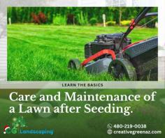 roper care and maintenance of a newly seeded lawn is crucial for its healthy establishment, and that's where landscaping professionals can lend their expertise. After seeding your lawn, it's important to follow a few essential steps to ensure optimal growth and long-term success.


https://creativegreenaz.com/cgl-lp/