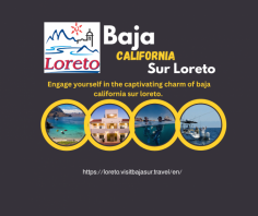 Engage yourself in the captivating charm of baja california sur loreto. Discover its historic roots, peaceful seaside landscapes, and thrilling sport fishing. Your way to a vibrant destination awaits, inviting you to uncover the hidden treasures of Loreto's seaside.