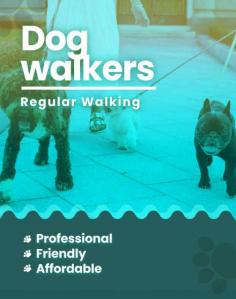 Book Best Dog Walking Service In Chennai at Affordable Price	

Book a highly-trained dog walker & Dog Walkers in Chennai. We connect Chennai’s best dog walkers & pet sitters near you, who offer insured and secured pet walking services.

View Site: https://www.mrnmrspet.com/dog-walking-in-chennai

