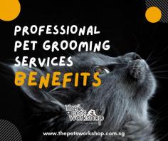 The significance of professional pet grooming services Singapore goes beyond aesthetics, offering a plethora of advantages that contribute to the overall well-being of your furry companions. Here’s a glimpse into the benefits of entrusting your pet’s grooming to the hands of professionals.

1. Health Check-ups:
Professional groomers are adept at conducting thorough health check-ups during grooming sessions. Early detection of skin conditions, lumps, or abnormalities allows for prompt veterinary attention.

2. Coat Health and Shine:
Regular grooming promotes a healthy coat by removing loose fur, preventing matting, and distributing natural oils. This not only enhances the shine of the coat but also reduces shedding.

3. Preventing Skin Issues:
Proper grooming practices, including cleaning and conditioning, help prevent skin issues such as infections or irritations. This is particularly crucial for pets with long or dense fur.

4. Nail and Paw Care:
Regular nail trims are essential for your pet’s comfort and mobility. Groomers also pay attention to paw care, ensuring that paw pads are clean and moisturized.

5. Stress-Free Environment:
Professional groomers create a calm and controlled environment, minimizing stress for your pets. Their expertise in handling various breeds ensures a positive and stress-free grooming experience.

6. Enhanced Bonding:
Grooming sessions foster a stronger bond between pets and their owners. The gentle touch, positive reinforcement, and undivided attention contribute to a positive relationship.

7. Tailored Services:
Professional groomers provide tailored services based on the breed, coat type, and specific needs of your pet, ensuring a grooming experience that suits them perfectly.

In the vibrant world of pet care, professional grooming services emerge not just as a luxury but as an essential component in ensuring the health, happiness, and radiance of your beloved pets.

Click this site : https://www.thepetsworkshop.com.sg/