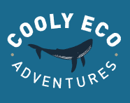 Embark on an underwater adventure as you swim with turtles on the Gold Coast. Explore the crystal-clear waters and witness these gentle creatures in their natural habitat, creating memories that last a lifetime.
https://coolyecoadventures.com.au/tour/swim-with-turtles/
