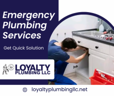  Solve Your Plumbing Problems Efficiently

Our technicians are fully trained and equipped to handle emergency plumbing issues. We will respond quickly to your request and resolve your plumbing problems. Send us an email at info@loyaltyplumbingllc.com for more details.