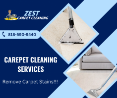  Get Professional Carpet Cleaning Services

Revive your carpets and experience the ultimate freshness for your home with professional carpet cleaning services. Get rid of stains, odors, and allergens with our expert team. Call us at 818-590-9440 for more details.
