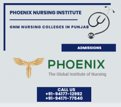 Join Phoenix Nursing Institute on a transformative journey to turn your passion for nursing into a fruitful profession. We offer a supportive and student-centric environment where students’ growth and success are our top priorities. Our BSc nursing program is designed to align with the modern advancements in healthcare. Among all the Bsc nursing colleges in Punjab , we are networked with the state’s top hospitals to offer quality student placements. Enrolling at the finest GNM nursing colleges in Punjab gives your healthcare career a much-needed edge. 

More : https://www.phoenixnursinginstitute.org