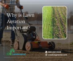 Unlocking the Benefits of Lawn Aeration: Discover why this crucial practice is essential for a healthy, vibrant lawn. From improving soil oxygenation and nutrient absorption to reducing soil compaction and promoting stronger root growth, lawn aeration is the key to achieving a lush and resilient outdoor space. Don't overlook this important step in maintaining a thriving lawn!

https://creativegreenaz.com/cgl-lp/


