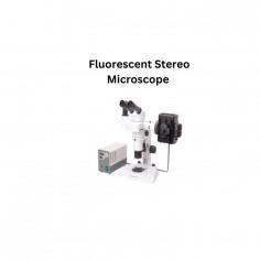 Fluorescent stereo microscope  cover a wide magnification range from 2.4X ~ 480X. It allows the scientist to see and photograph specimens from macro views to high-magnification micro visualization. Additional photo tube comes with the microscope, CCD camera can be mounted on the photo tube for image capture and analysis.