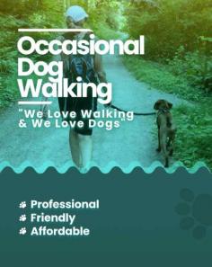 Book Best Dog Walking Service In Bangalore at Affordable Price	

Book a highly-trained dog walker & Dog Walkers in Bangalore. We connect Bangalore’s best dog walkers & pet sitters near you, who offer insured and secured pet walking services.

View Site: https://www.mrnmrspet.com/dog-walking-in-bangalore

