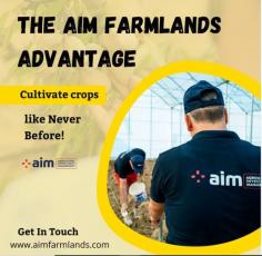 Explore the potential of farm real estate investing with Aim Farmlands. Discover a unique opportunity to diversify your investment portfolio by acquiring agricultural land. Aim Farmlands specializes in connecting investors with lucrative farm properties, offering a gateway to sustainable returns in the agribusiness sector. Whether you're a seasoned investor or a newcomer to real estate, Aim Farmlands provides a platform to explore, analyze, and invest in carefully selected farmlands. Embrace the stability and growth potential of agricultural real estate, and let Aim Farmlands guide you towards a fruitful investment journey. Visit our website to unlock the possibilities of farm real estate investing and reap the benefits of a thriving agricultural market. 